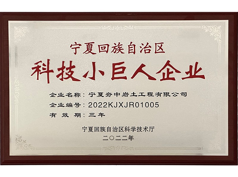 夯中岩土